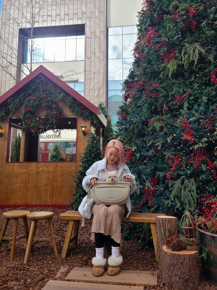 예쁜 강아지이동가방 추천 인더코코 슬링백 후기