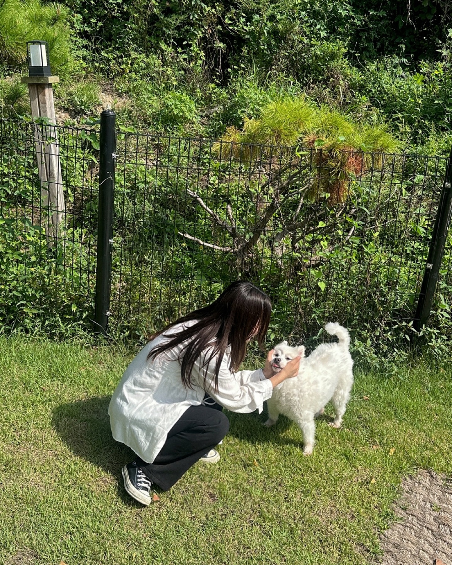 햅삐추석💕
저는 두부랑 행복한 시간 보내고 있어요🐶🐾🫶🏻
다들 남은 연휴 행복하고 즐겁게 보내고 푸욱-쉬고 만나요❣️
#즐추 🍀