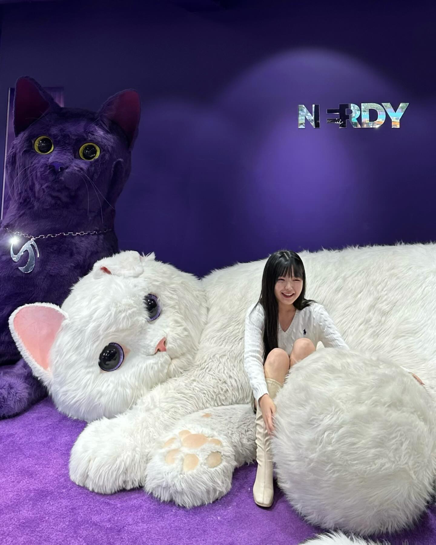 🐱🧶