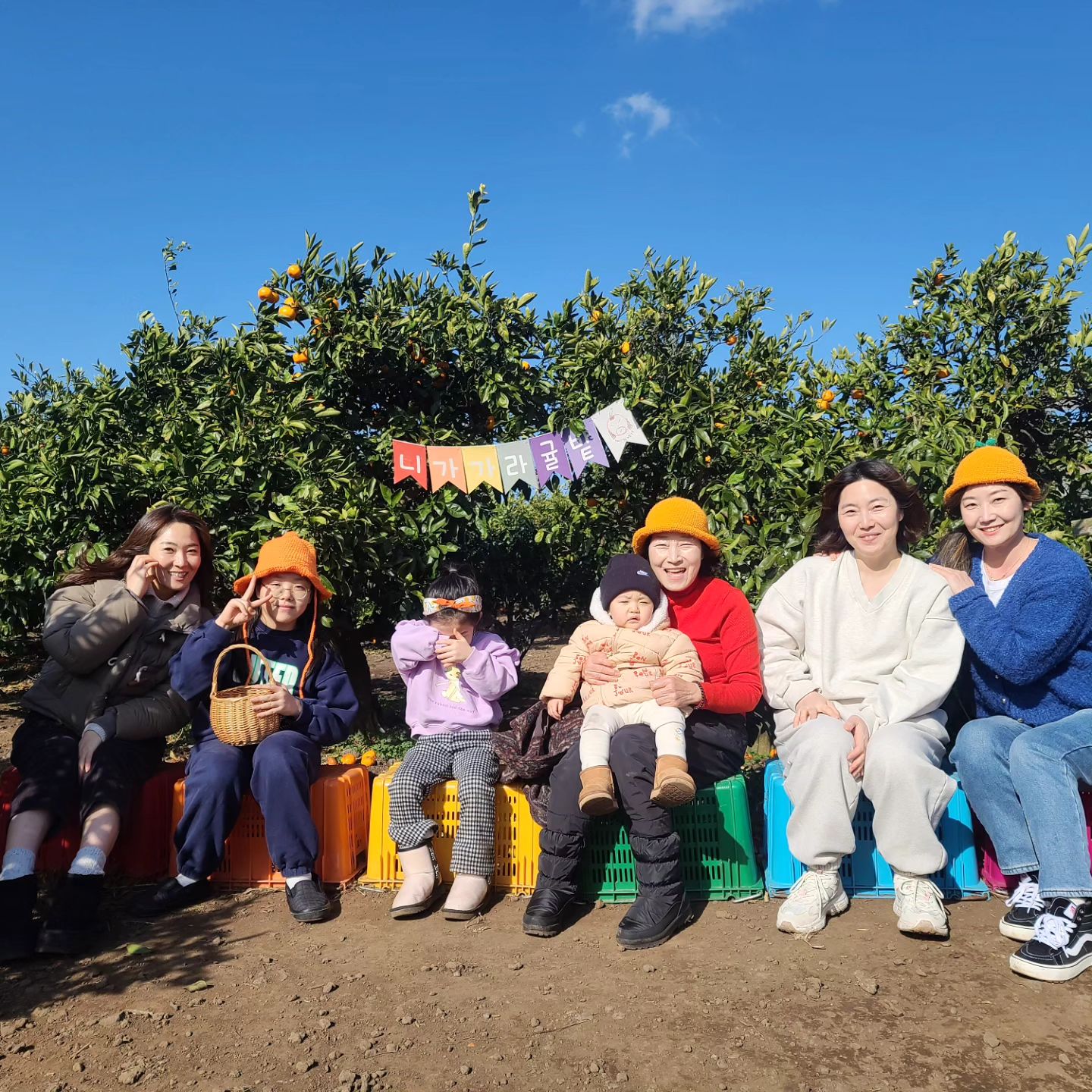 #귤따기체험 🍊귤따기에진심인우리딸 여기서 알바해도 되겠어~😆 애들이 너무 좋아하는 체험이라 제주도에서 꼭 해보라고 추천드림~👍🏻
꽃받침 하라니 예쁘게 포즈취하는 우리엄마 귀여워요~❤️
#제주#제주여행#2024년1월