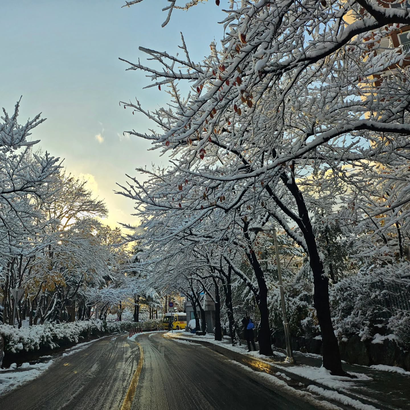 어제는 우박비가 오락가락하더니만 얼마 만의 폭설인지🌨 온 세상이 하얗게 덮여 저는 걸어서 하원 시켜야 하나 차로 하원시켜야하나 걱정했는데, 제 걱정과는 다르게 자기 무릎만큼 쌓인 눈을 보고 신난 아드님☺😊 옷이 다 젖어도 역시 눈놀이는 즐거웡❤
.
.
어린이집 놀이터로는 모자라 집 밑에 있는 놀이터도 가자는 아들래미🫠 장갑 없으니 얼마 안 놀겠지 하고 갔는데 누가 만들어놓은 울라프☃️ 조심스레 당근 코도 만져보고 머리도 쓰다듬어주는 스윗보이😍
.
.
내일은 방한복 완벽하게 입고 놀자아아아❤
.
.
#연년생맘 #남매맘일상👦🏻👧🏻 
#첫째 #33갤베베👶🏻 #둘째 #10갤베베🍼 
#어제_우박비에_이어서 #오늘은폭설🌨 #첫눈❄️
#하얀나라 #겨울왕국 #급겨울🤧 #울라프안녕⛄️
