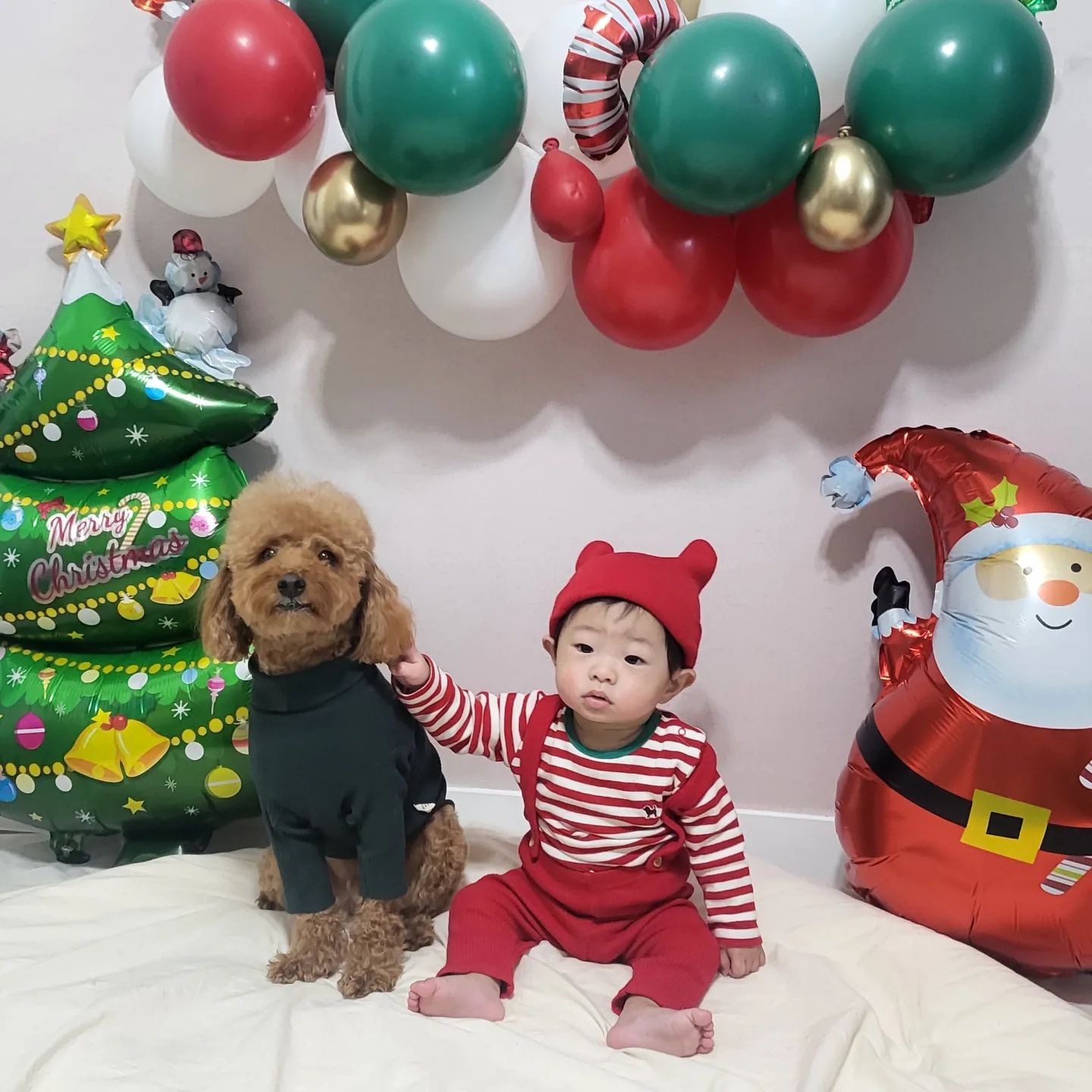 아기와 함께 하는 뚭의 크리스마스 🎄♥️

둘다 7kg 대로 몸무게 비슷해짐 

#메리크리스마스 
#애개육아 
#육아 #육아소통 #반려인 #반려견
#강아지 #멍멍이 #댕댕이 #푸들
#크리스마스 #christmas