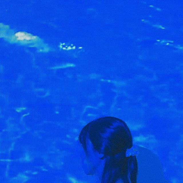 김적분(꽃분) on Instagram: "#인플카_캐시백지급 고양이 간식찾아주기 스토리가 너무 귀엽고 몽글몽글했던 #이색체험카페 #리얼월드 방탈출카페랑 비슷한 방식이라는데 공간마다 너무 예쁘고