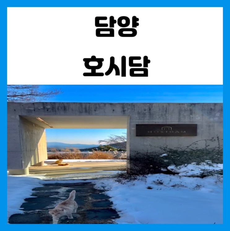 담양 숙박 후기 자쿠지가 있는 감성 숙소 호시담
