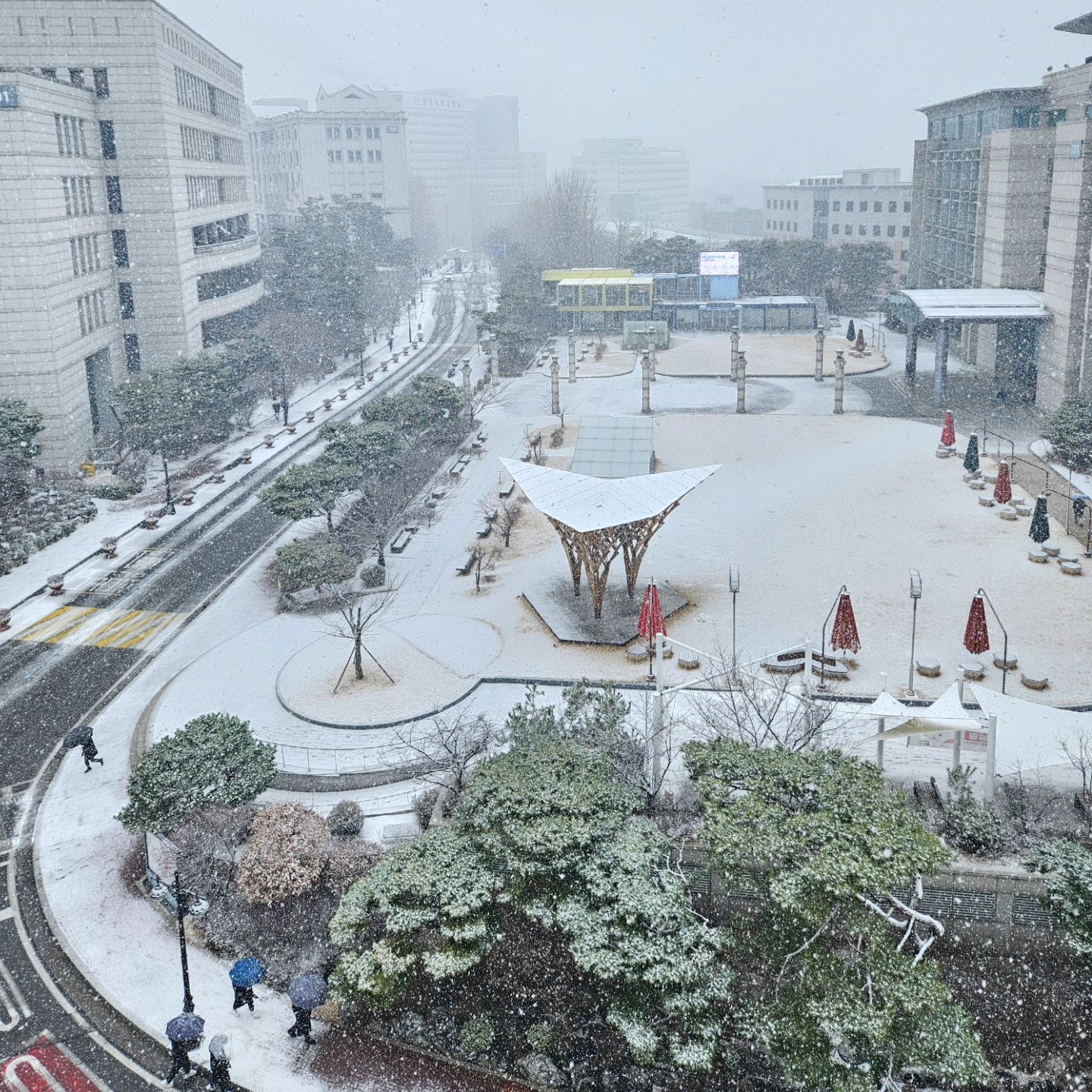새하얀 풍경, 눈 내리는 날 ❄️⛄️☃️

#winter #winterwonderland #겨울 #풍경 #날씨 #weather #seoul #korea #일상 #followforfollowback #맞팔 #daily #dailygram #맞팔선팔 #followfollowfollow #followalways #followforlike #follow #followｍe #follow4like #snowy #weatherphotography #눈 #함박눈 #눈오는날 #눈내리는날 #눈내리는풍경 #눈오는풍경 #whitesnow #겨울풍경