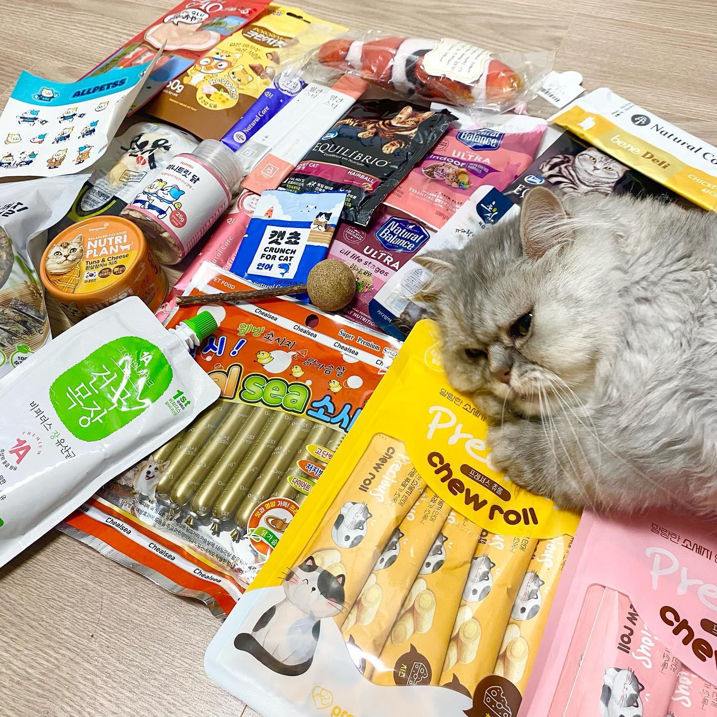 #협찬

우리 달콤이 행복해하는것보세요🤍🤍🤍
올펫스 멤버쉽으로 엄청 저렴하게 구매한 달콤이 간식들🧀🍗🐟
츄르가 한봉에 900원 한팩 말고 한봉지요‼️
통조림 950원
소세지롤 한봉에 2600원
크런치 1600원
말이 되는 가격인가요??
도매가로 판매하는 올펫스!!
구독을 하면 이 가격에 구매 할 수 있담니당
한달 무료체험이 가능하고
무료체험 신청하시면 맞춤형 웰컴기프트도 드려용🥰
맞춤형 웰컴기프트는 카카오톡 채널에 우리 아이 정보를 보내면
올펫스에서 가방에 우리 아이가 좋아 할 만한 것들을 마구마구 담아서
무료로 보내드려요!!
마지막 사진이 웰컴기프트 안에 들어있던 것들
정말 푸짐하죠😻

무료체험 신청은 제 추천인 코드 ‘마필두6316’을 입력하시면 가능하답니당🙌🏻

#올펫스 #올펫스추천인 #애견용품 #냥스타그램 #멍스타그램 #고양이 #페르시안친칠라 #페르시안 #cat #좋아요반사 #맞팔 #일상 #데일리 #먹스타그램 #99 #25 #20