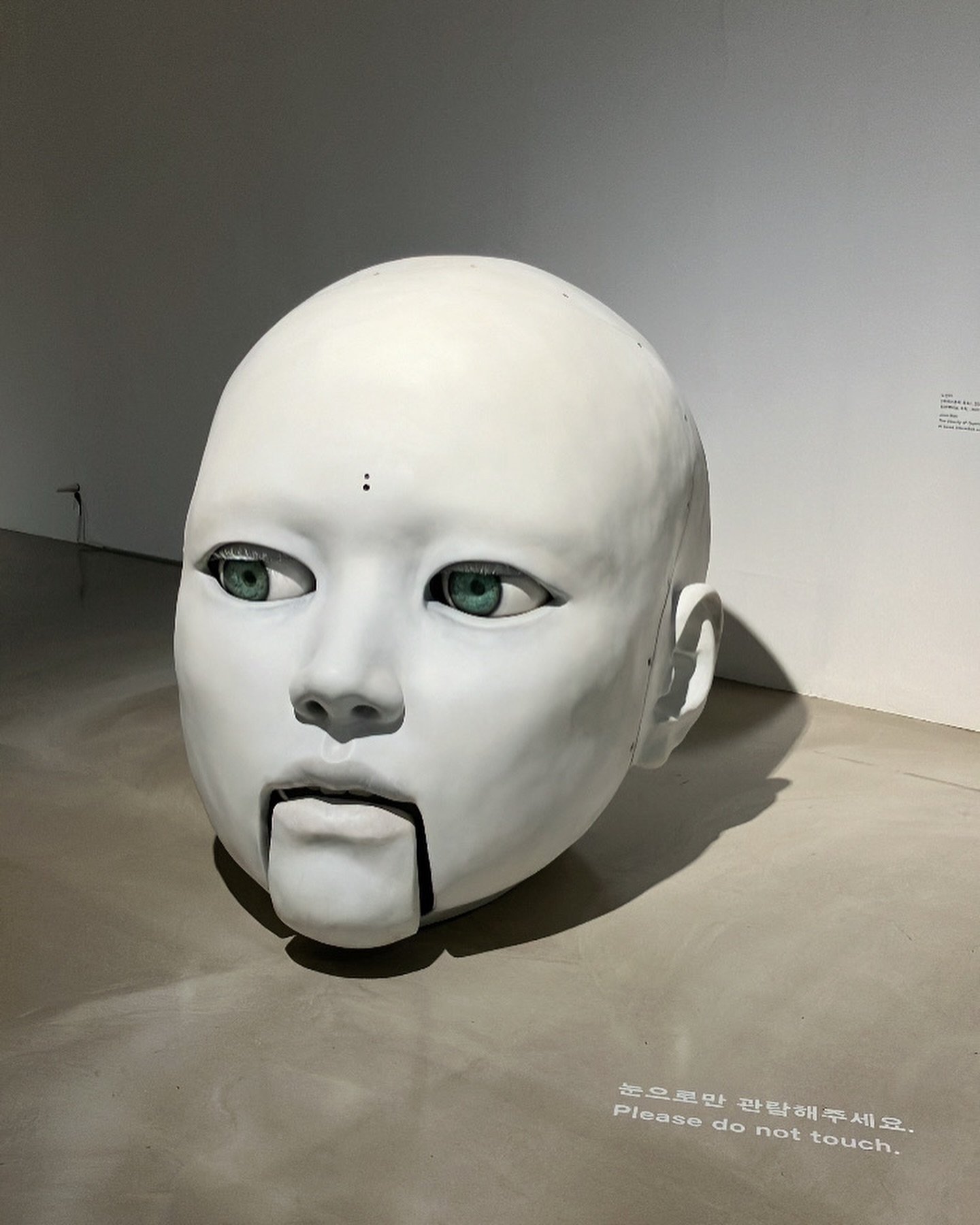 노래도 잘 불러요