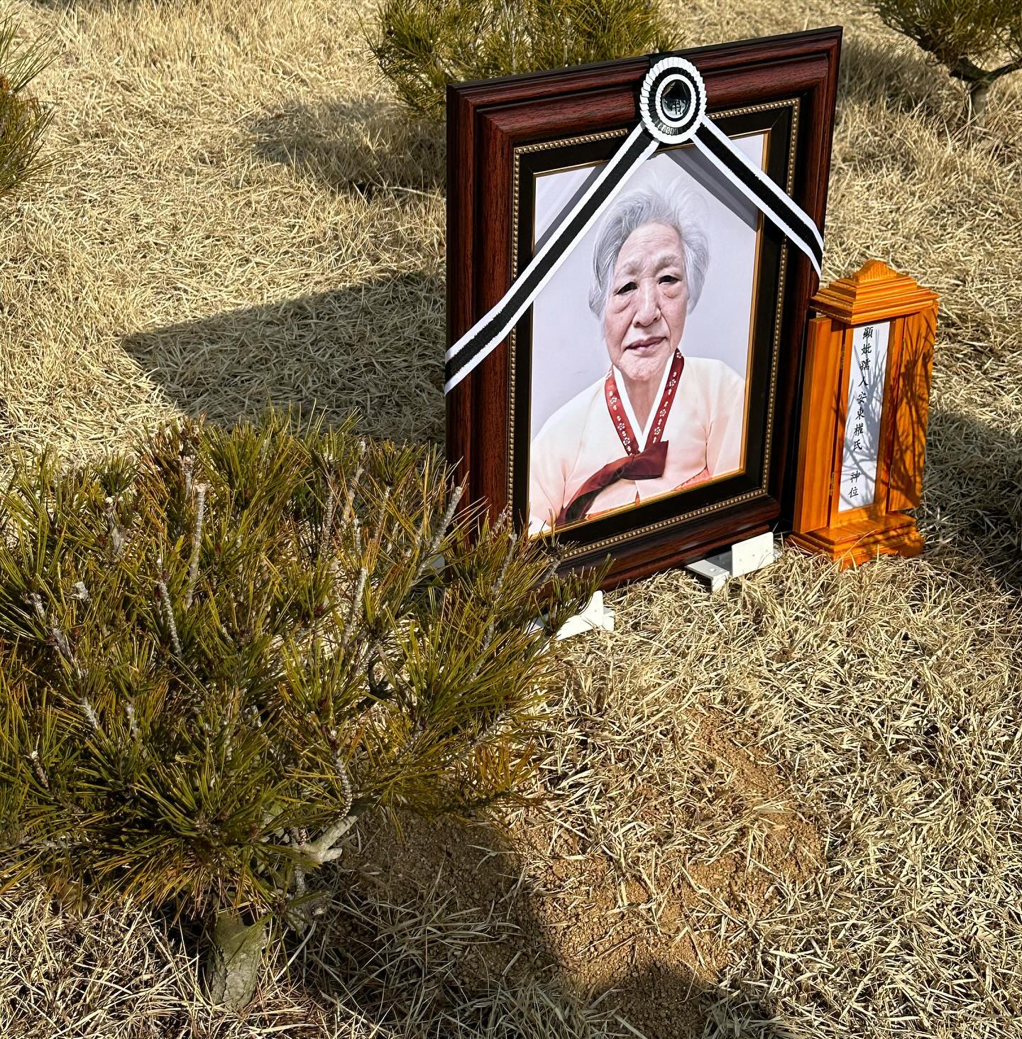 할머니 이제는 더 이상 아프지말고 ,
좋은 곳 가서 행복해야해 내가 사랑해 많이