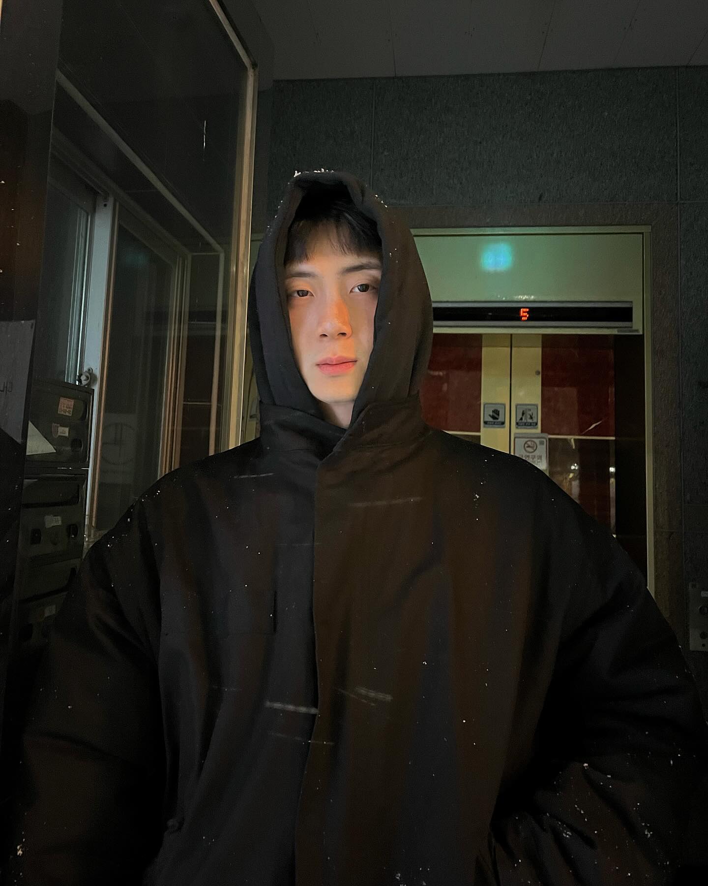 눈 풀린 곰재 🤍