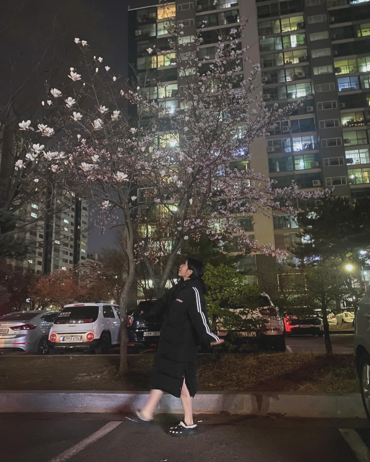 헤헤 집앞에 꽃 폇다🌸