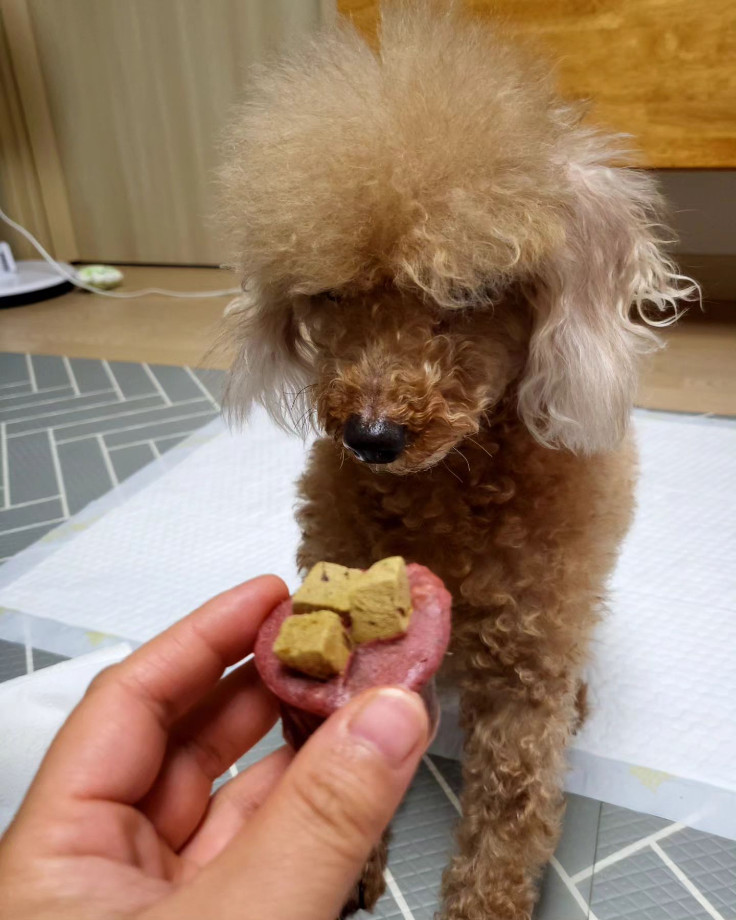 간단하게 만들어서
맛있게 냠냠