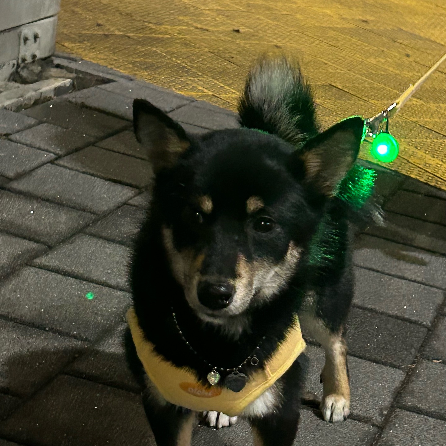 징짜 기욥따…