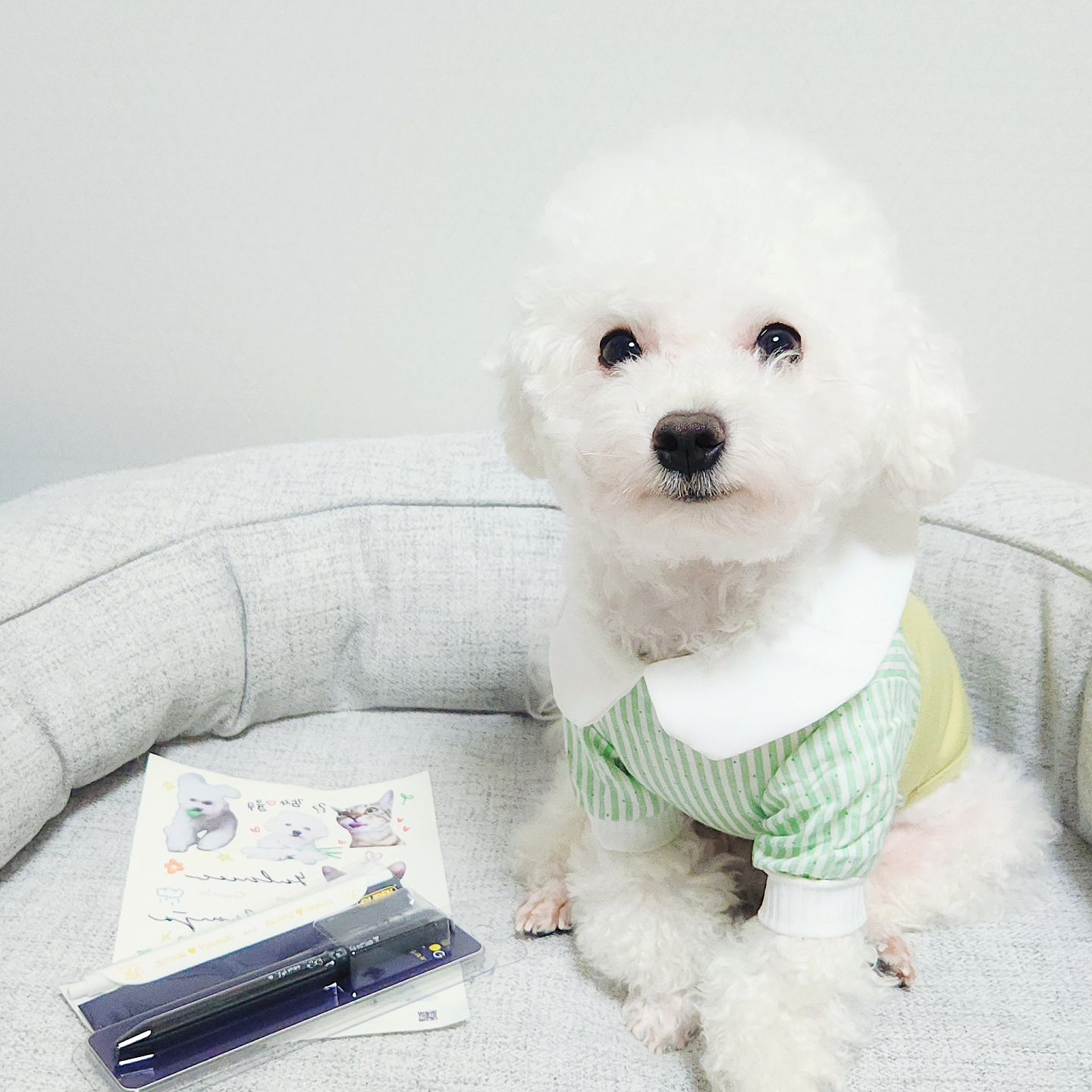#협찬

감자랑 율무가 퍼블로그 서포터즈가 되었어요!

퍼블로그는 DIY로 굿즈제작하는 곳이에요!
소량굿즈제작이 가능하고

이번에는 젤볼펜, 클립펜, 타투스티커를 제작했는데요
제가 직접 그려서 제작해봤어여
타투스티커는 잘 피부에 잘 되더라구요!
쉽게 잘되고 잘 나와서 굿😆
볼펜들도 넘 만족스러워요🫶🏻

🖊 publog

#퍼블로그 #DIY #굿즈 #굿즈제작 #PUBLOG #소량굿즈 #소량굿즈제작 #커스텀 #젤볼펜 #클립펜 #볼펜제작 #클립펜제작 #소량볼펜제작 #타투스티커 #스티커제작 #타투스티커제작 #스티커주문제작 #문신스티커
