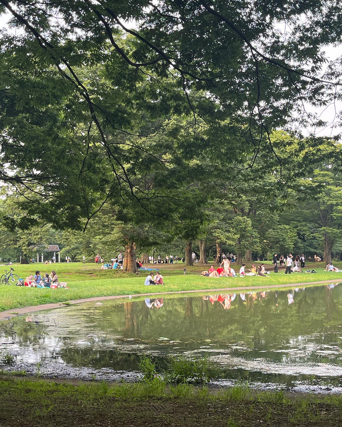 콘텐츠