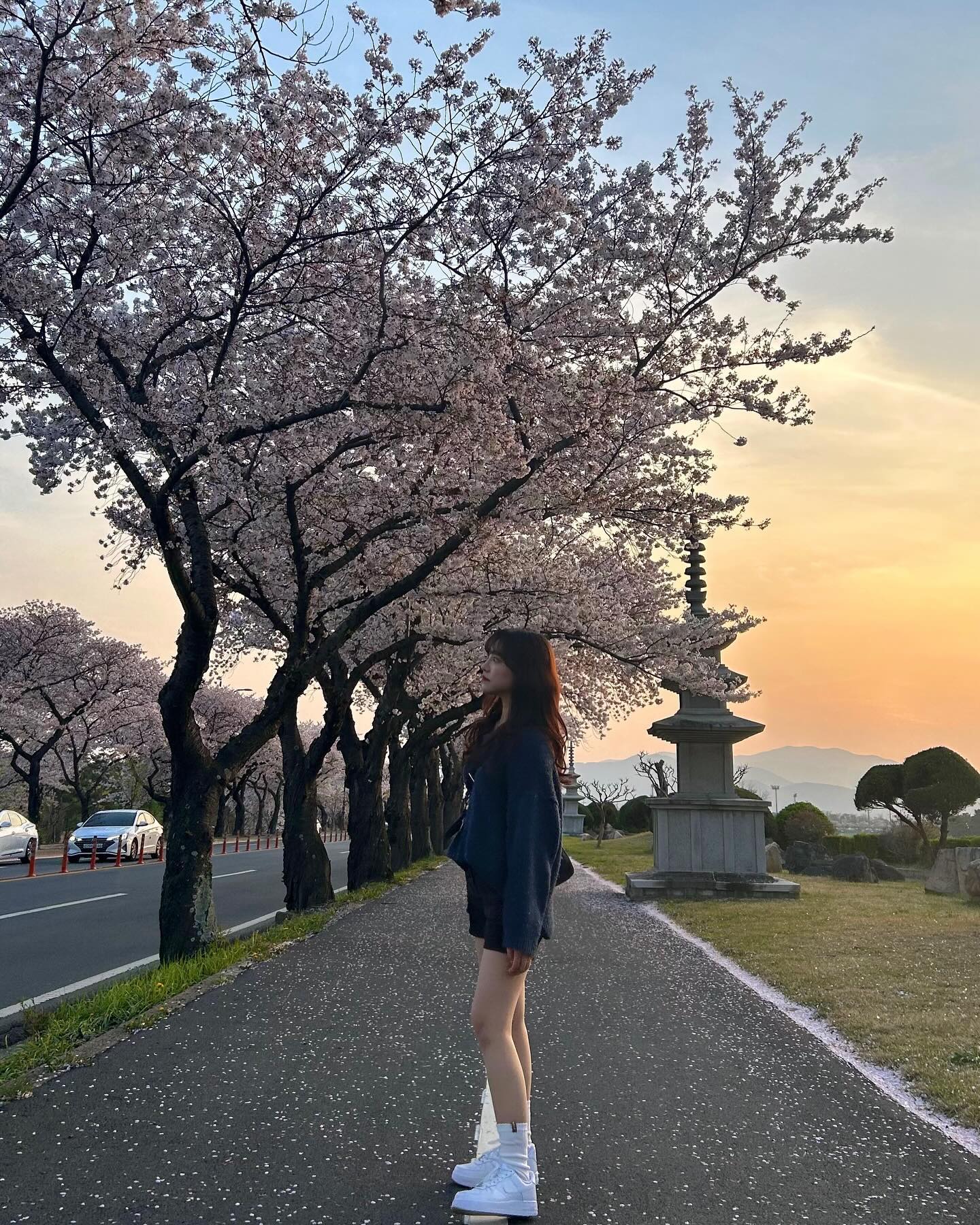 봄 다시 돌려죠◠̈