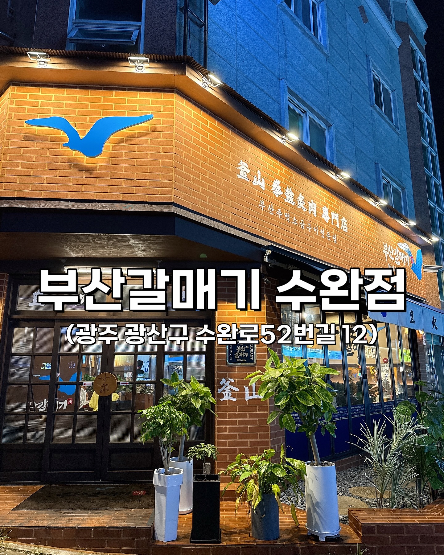 부산갈매기 광주수완점
(광주 광산구 수완로52번길 12)

여기가 부산 아니고~ 광주 정말 맞아요? 😁
부산 느낌이 가득해서 마치, 부산으로 여름휴가 온 기분을 주는
고깃집에 다녀왔어요! 🦅🌊

저희가 시킨 메뉴는 아래와 같습니다:) 

부산 주먹 소금구이 500g 한판 (29,500원)
김치찌개 (1,900원)
부산 깡통시장 김밥(2,900원)
부산 열무 왕비빔냉명 (2인) (7,900원)

메뉴를 주문하면, 아주 깔끔하고 정갈하게 밑반찬과 각종 고기에 찍어먹을 수 있는 다양한 소스(?) 를 셋팅해주십니다 😆 

그리고 테이블에 보면  파란색 아크릴판이 놓여있는데, 
이러한 소스(?)를 활용해서 고기를 더욱 맛있게 즐길 수 있는
방법이 안내되어있습니다💙

저희는 바로 이 방법을 한개씩 따라하면서 먹어봤는데
맛도 좋고 재밌어서 좋더라구요🥰

그리고 고기가 가격에 비해 맛도 좋구 양도 많고!!! 
그냥 그야말로 가성비 끝판이네요😺😸

느끼할때쯤 먹어주는 김밥과 비냉도 조화가 아주 좋아요!!! 
아 .. 냉면은 양이 진짜 미쳤습니다 ㅋㅋ
4인분같은 2인분이니 참고하세요~!!!💙💙

가성비 챙기면서, 가심비까지 챙기고싶으신분들
부산갈매기로 당장 달려오세요 🏃‍♀️🏃!!! 
맛있는 고기 먹으면서 휴가 분위기까지 챙겨보자구욤 🐳🌊
.
.
.

이 글은 리뷰노트를 통하여 본 업체에서 제품 또는 서비스를 제공받아 작성된 글입니다.
.
#수완동맛집 #광주맛집 #광주고깃집 #수완지구맛집 #광산구맛집 #광주고기맛집추천 #부산갈매기수완점  #맞팔 #소통 #커플계정 #신혼부부 #신혼부부맞팔 #커플인스타그램
