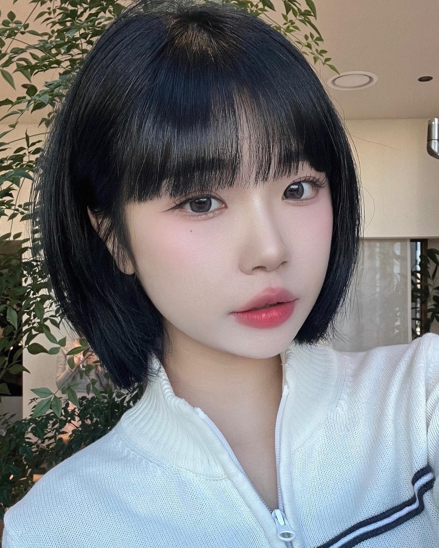 다시 단발