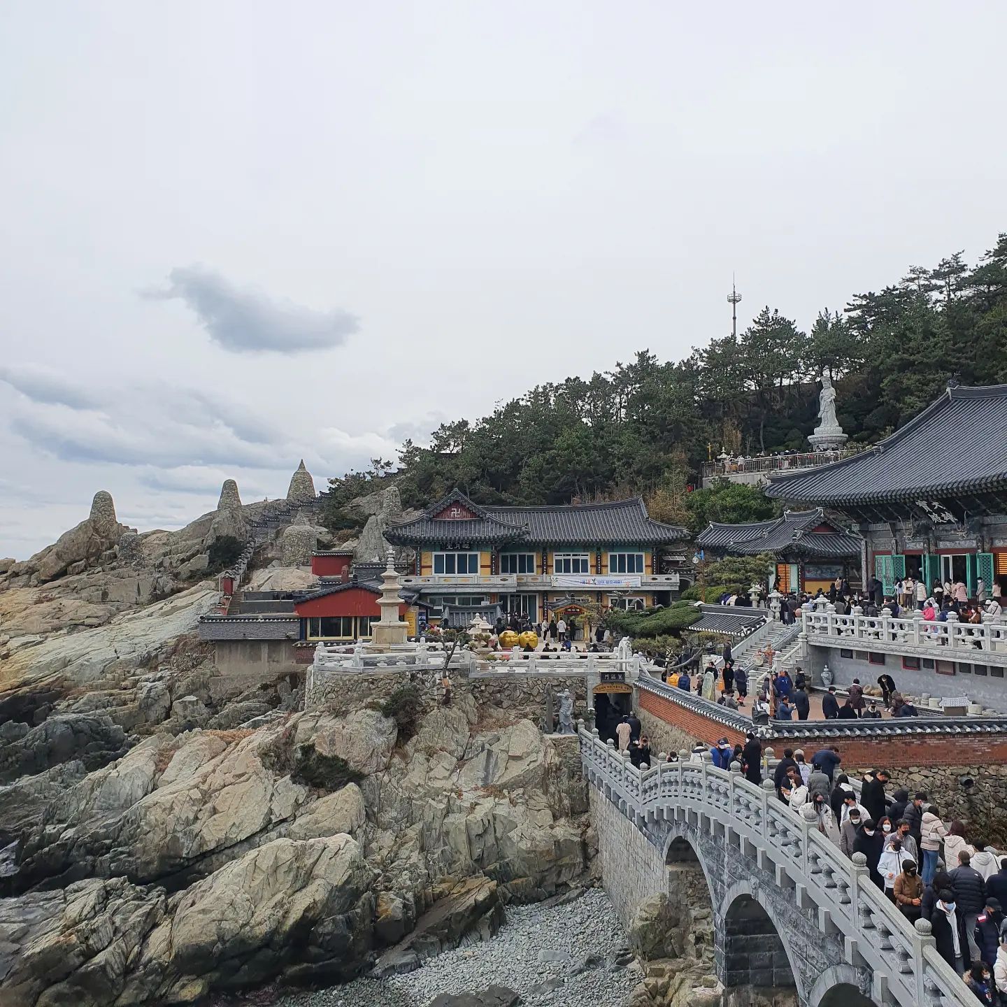 .
/
230124
.
설을 맞이하여 부모님과 방문한 용궁사.
사람들 모두 새해 소원을 빌기 위하여 용궁사로 모인건지 사람이 엄청 많았다.
올해 우리가족을 위한 소원을 빌었는데
모두 이루어지면 좋겠다.
.
다들 행복한 명절 보내셨나요?
올해 다들 소원성취하고 건강하세요. 💪💪
.
.
#명절 #부산여행 #부산용궁사 #새해소원 #새해소원빌기 #명절일기