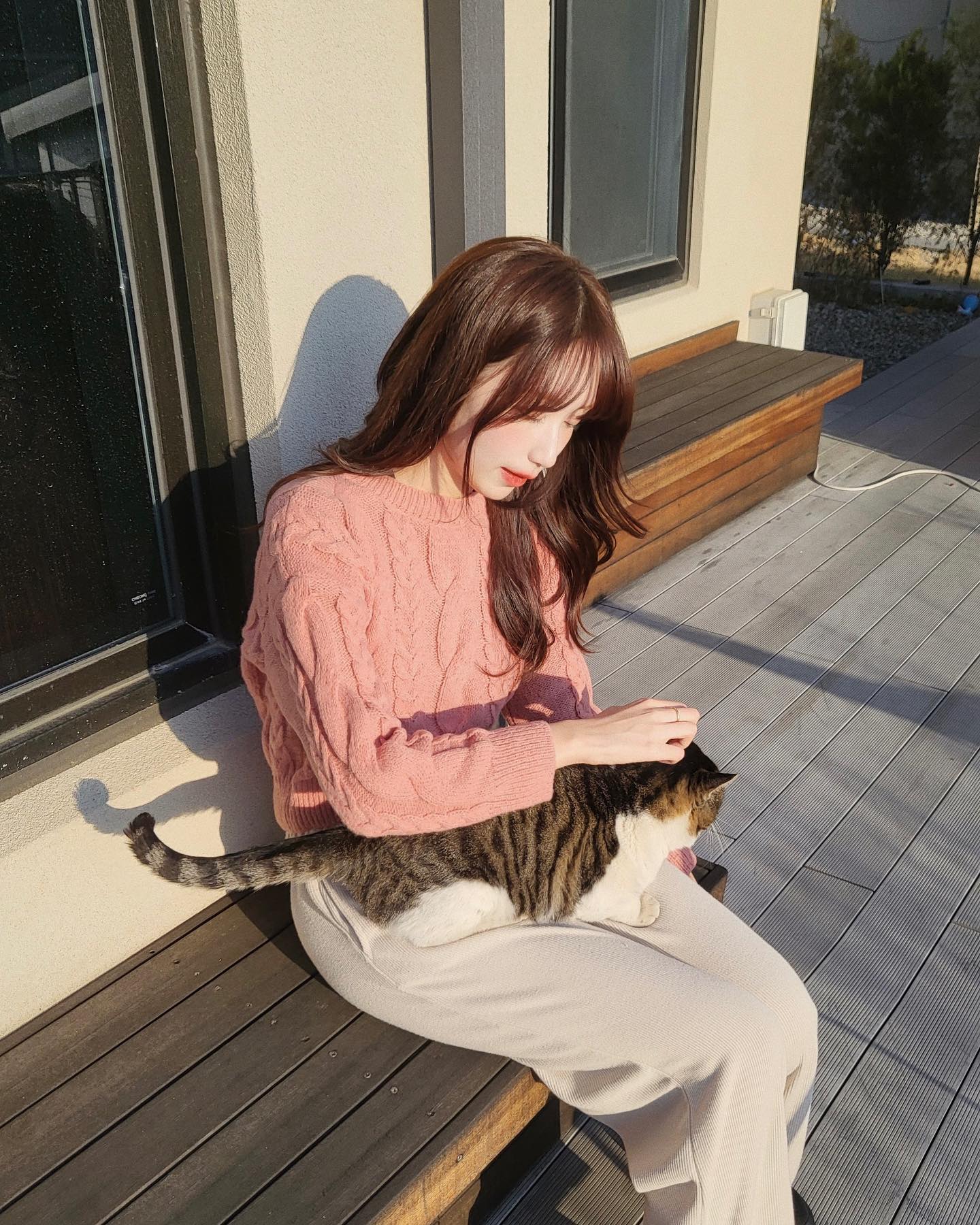 인간 츄르가 된 오늘 .. 
약 7마리 야옹이들이 우르르 몰려들었다😻