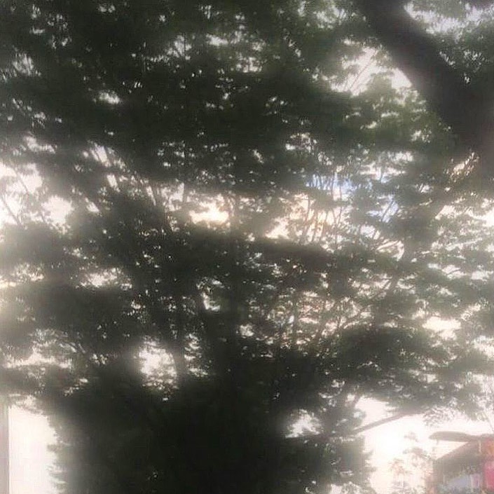 콘텐츠