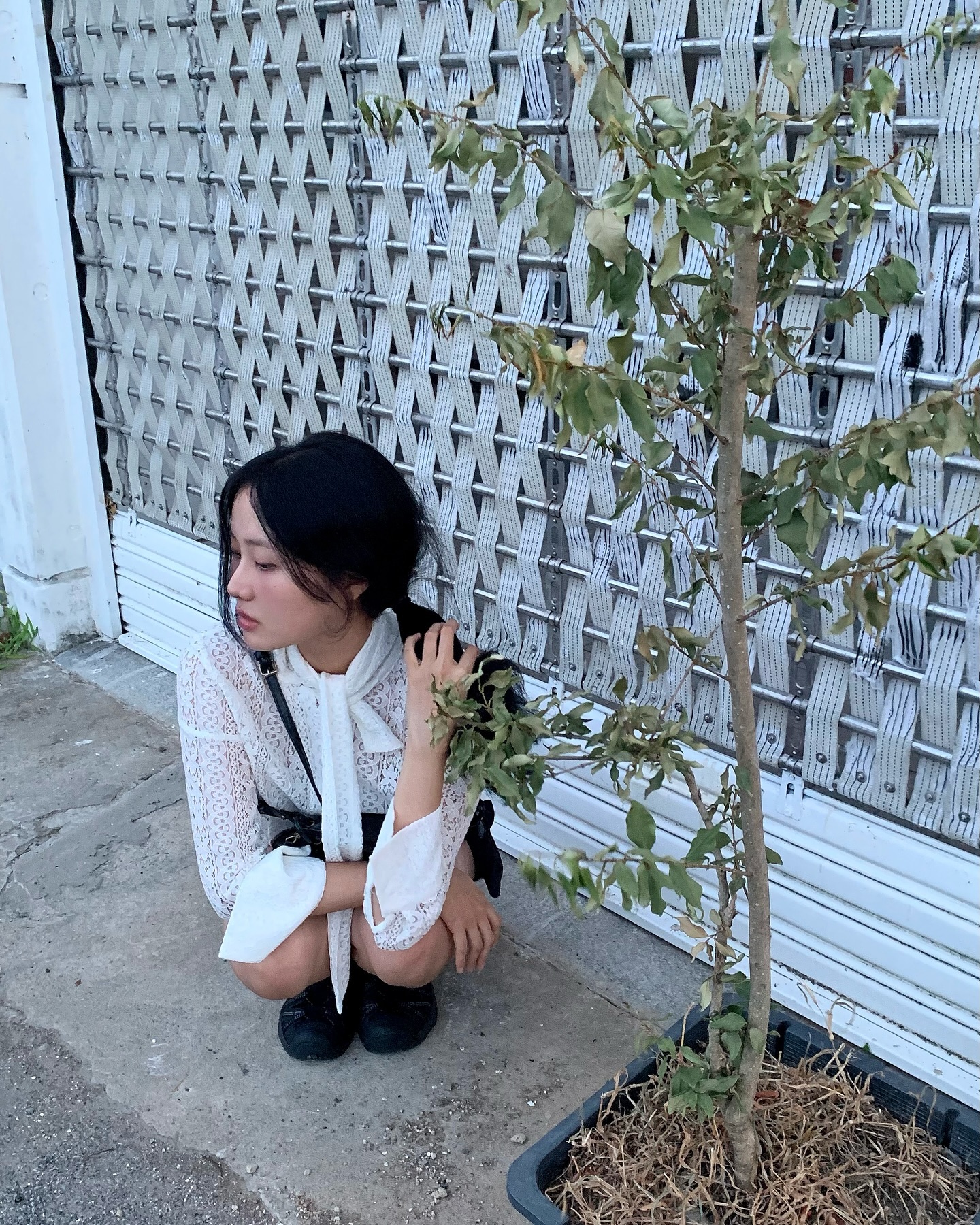 🪿🌿🍂
