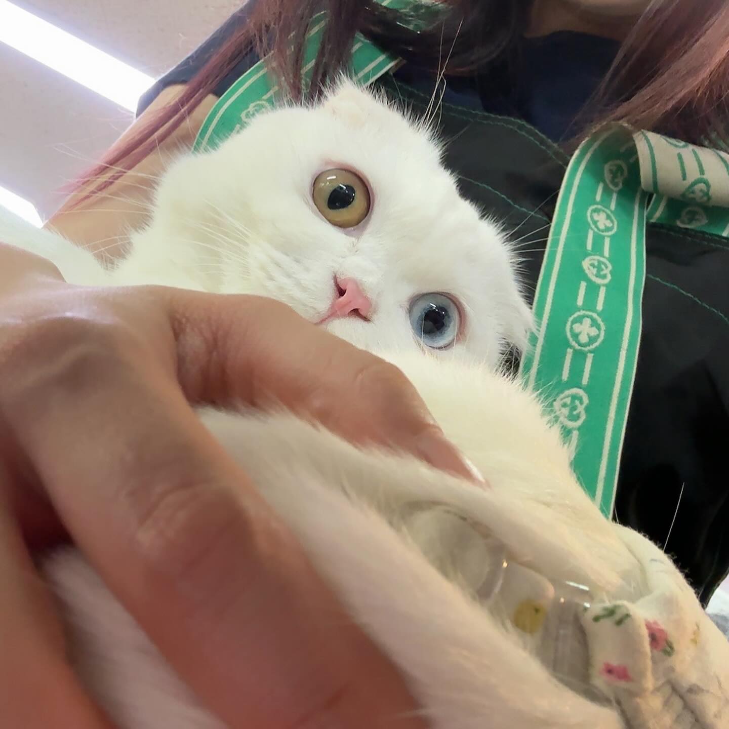 츄르🤍

간택당하고 모서리 자리만 남았다