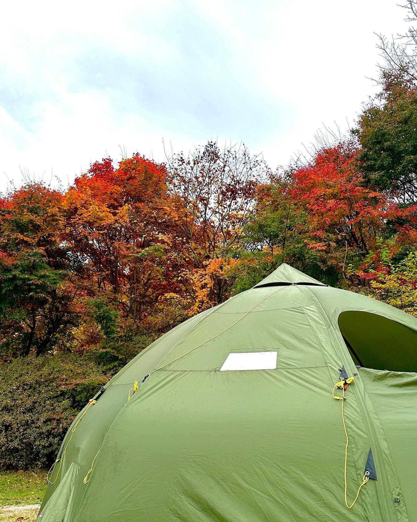 #가을캠핑 🏕️