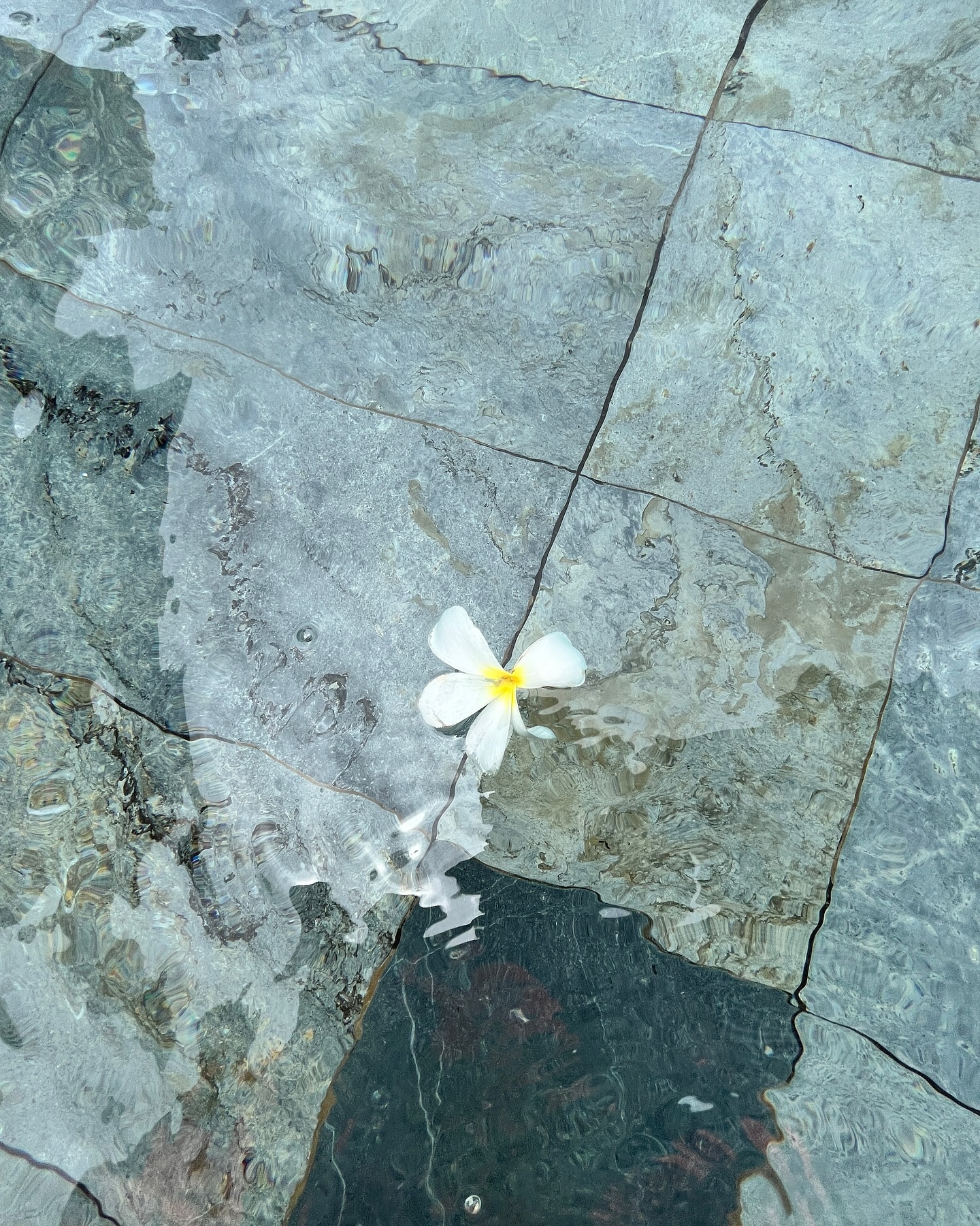 콘텐츠