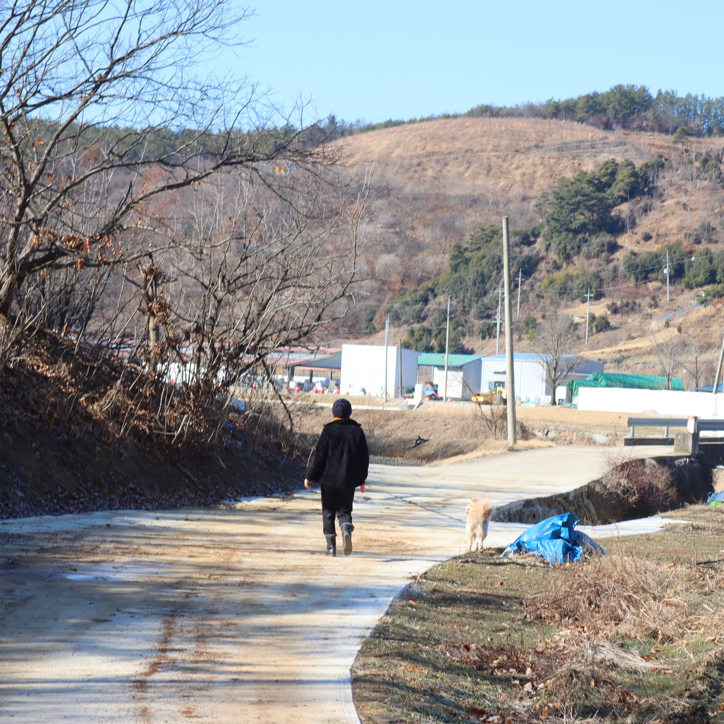 엄마와 견우는 산책친구~!😁❤

#시골살이 #시골일상 #산책메이트 #시골댕댕이