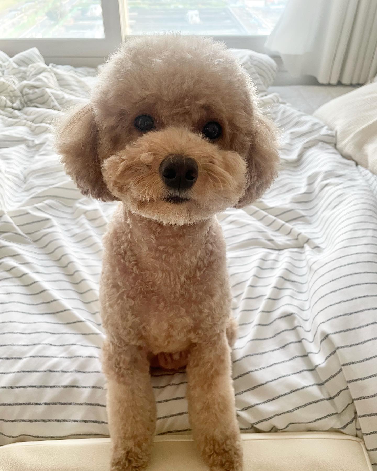미용한 예쁜이 ♥️