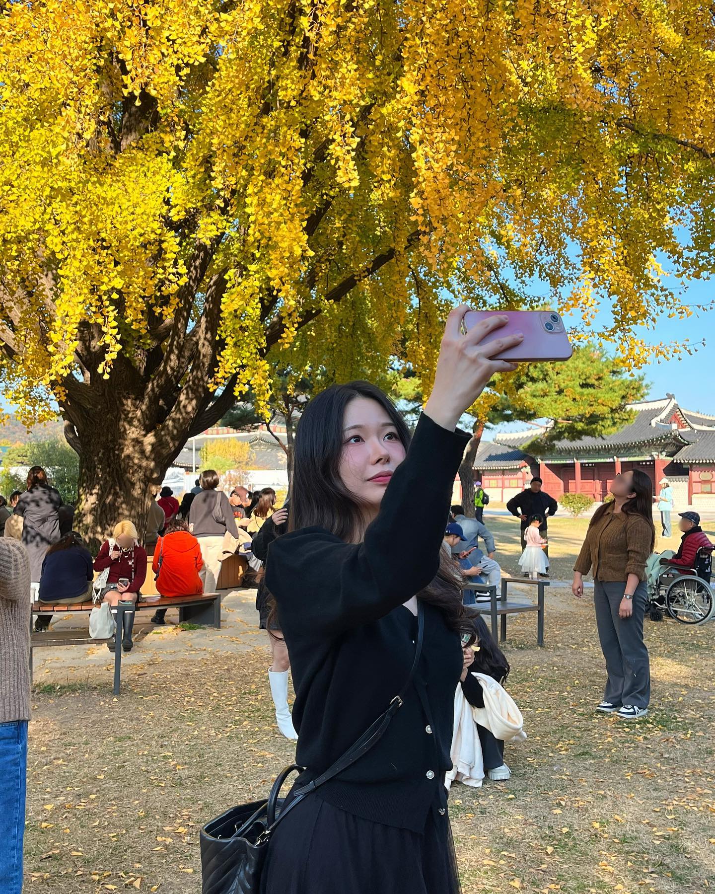 A perfect day in Autumn 🍁💛