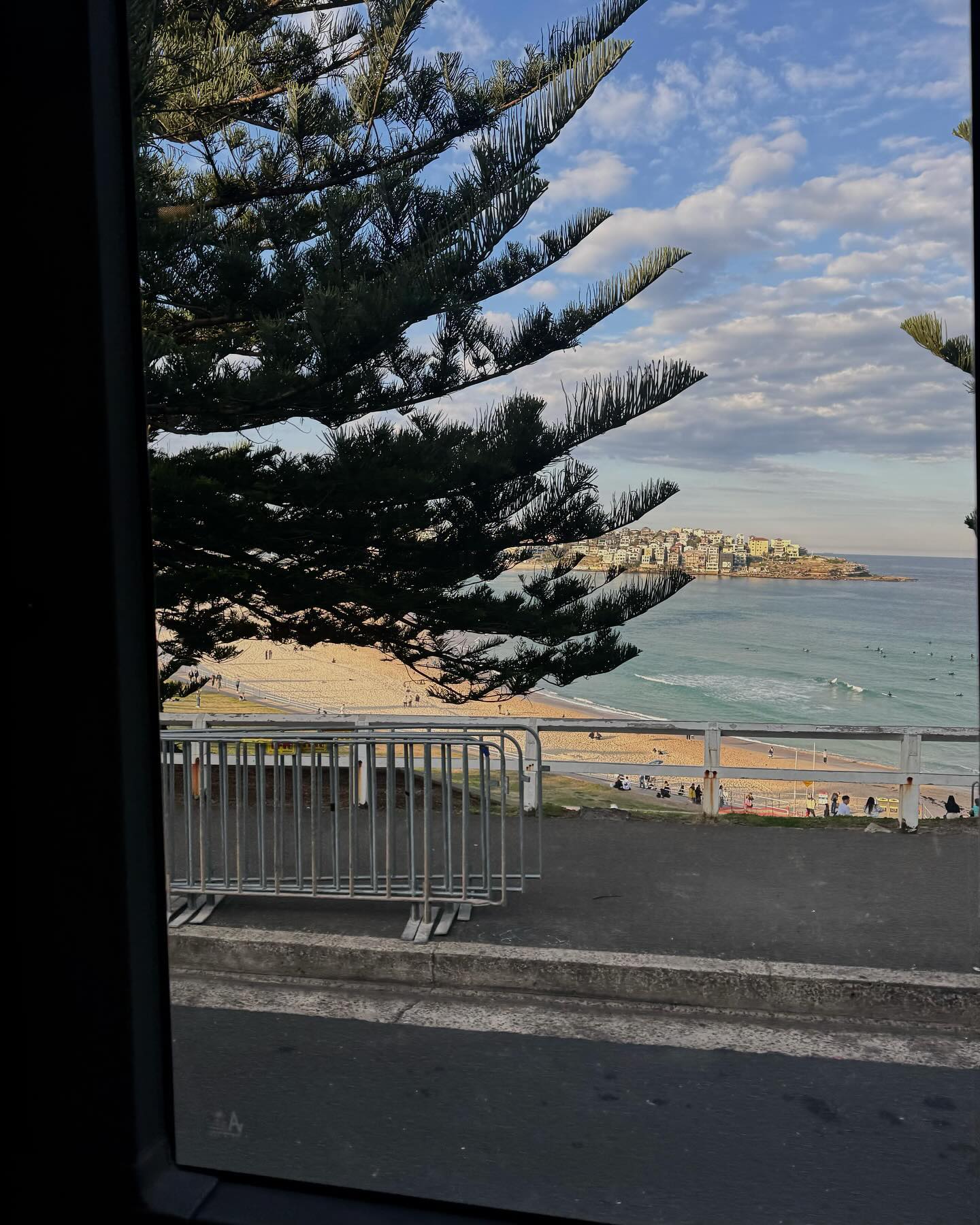 私の新しいビーチタオル 🐨🇦🇺