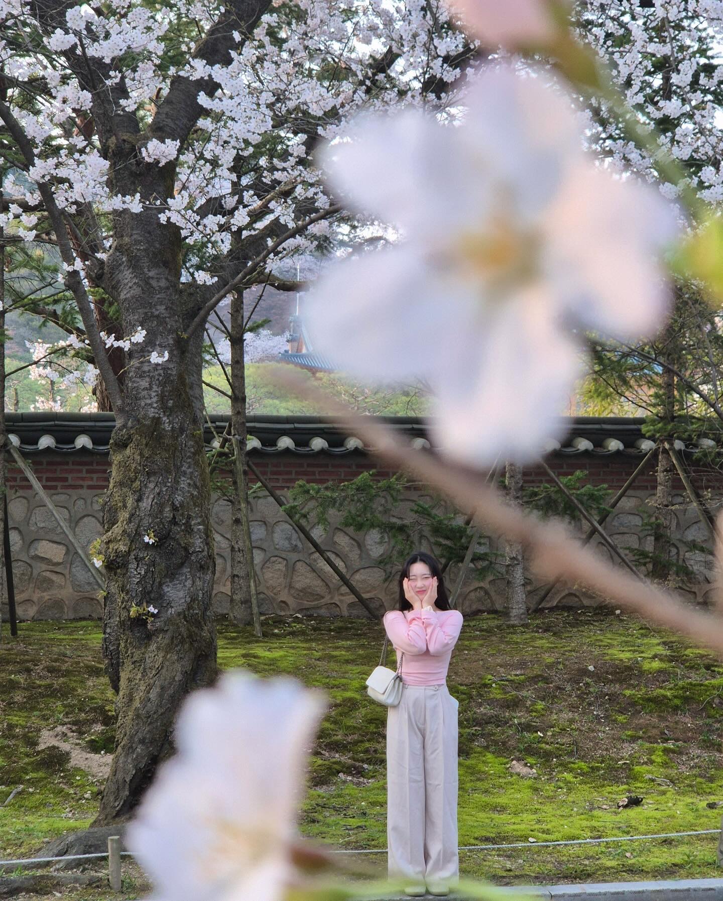 유툽보고 새로운 각도로 찍어주신 내 전담 사진쟉가늼,
맘에들어효 🌸✨