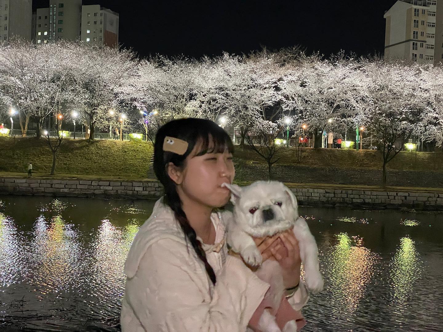 dubu__s2 💟

나으ㅣ 크고 귀여운 아가 멍멍이 🐕🖤