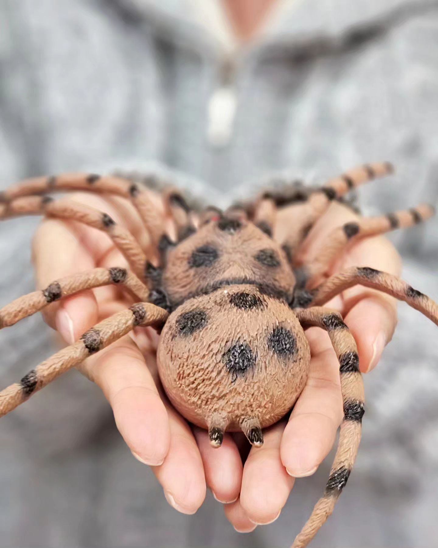🪲🐞🕷🦋🐛
곤충과 놀기✌️

➿️
동글동글 말린 세상에서 제일 큰 노래기는
차마 못만졌...ㅋㅋ
어찌 보면 귀엽기도🤭

🦨
킁킁 냄새가 나는 하늘다람쥐 슈가글라이더 먹방은
무조건 1열 직관 추천!!!!
두손으로 꽉잡고 당근 스틱 먹거든요.
완전 귀여워요!!

'곤충=벌레'라는 고정적인 관념을 벗어나 애정어린 눈으로 어루만졌던 시간!!

여러가지 체험도 해봄요!!
🐞곤충박사님 되어보기(15000원)​
🐞곤충레진아트(2만원)​ 
🐞딱정벌레 윙아트(15000원) 
.
.
📍정읍이화곤충공방
🔸️전북 정읍시 산내면 이화동길 42
🔸️10~18 (12~13 휴게시간), 일요일은 14~18, 월 쉼
🔸️063-538-1551
🔸️3천원(정읍상품권 가능), 체험은 입장료 별도
.
.
https://m.blog.naver.com/train95/223265666631
.
.
#정읍여행 #정선가볼만한곳 #정읍이화곤충공방 #곤충체험 #travelphoto #insect #전북정읍 #다르다떠나다 #다르다_정읍