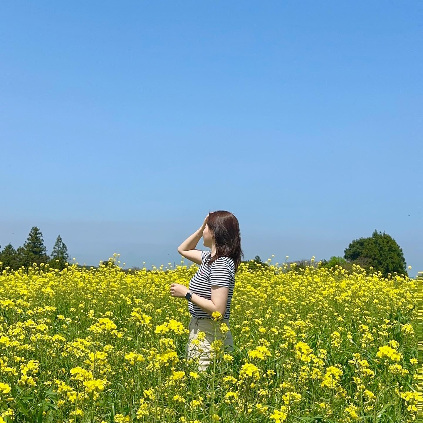 날이 좋을 때 꽃을 보면 너무 좋아 🌼