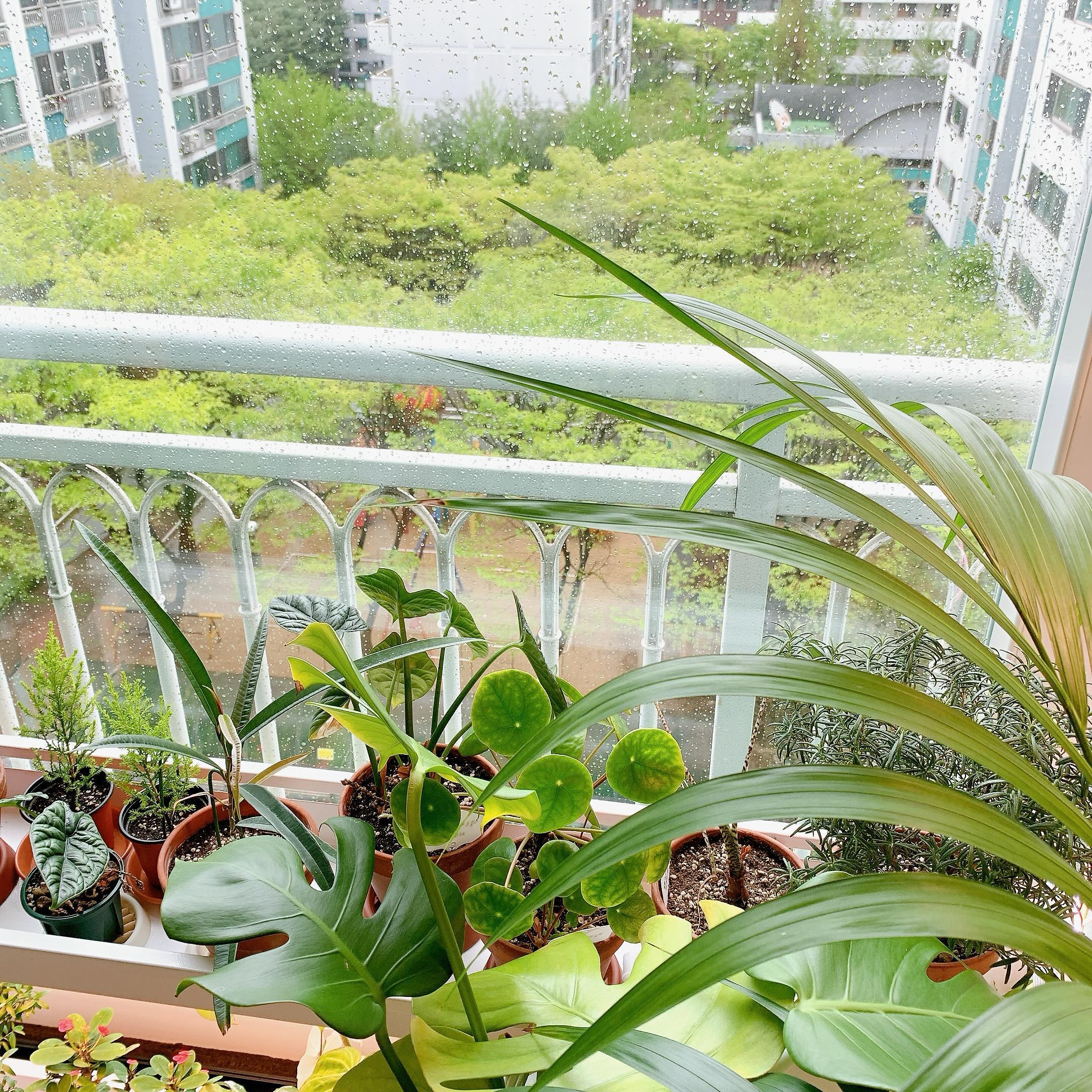 어느새 창 밖도 온통 초록초록 🌿
😀즐겁다!!! 마참내!!!