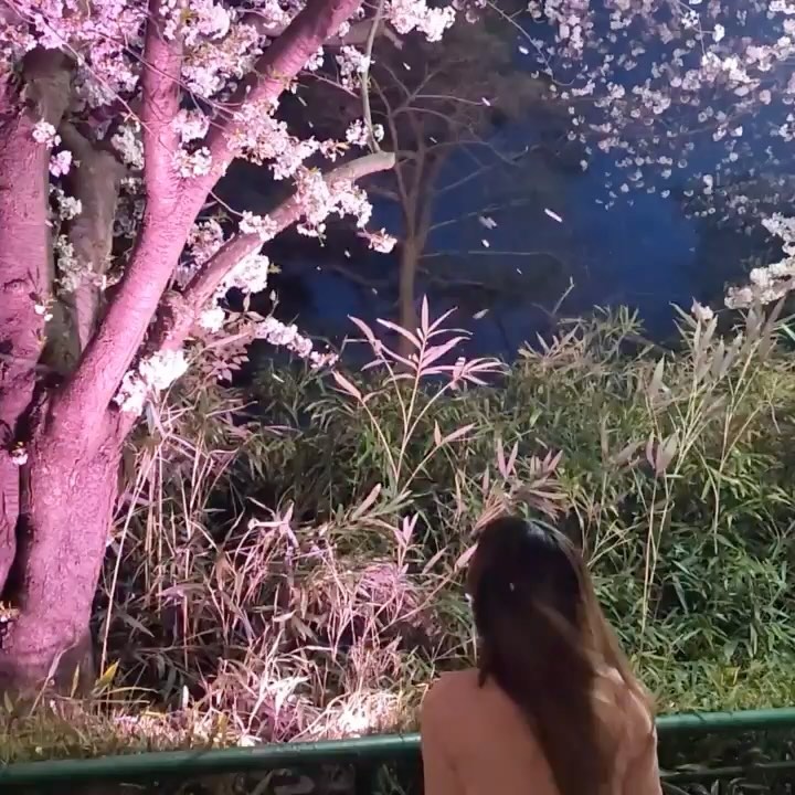 🌸4월 벚꽃🌸