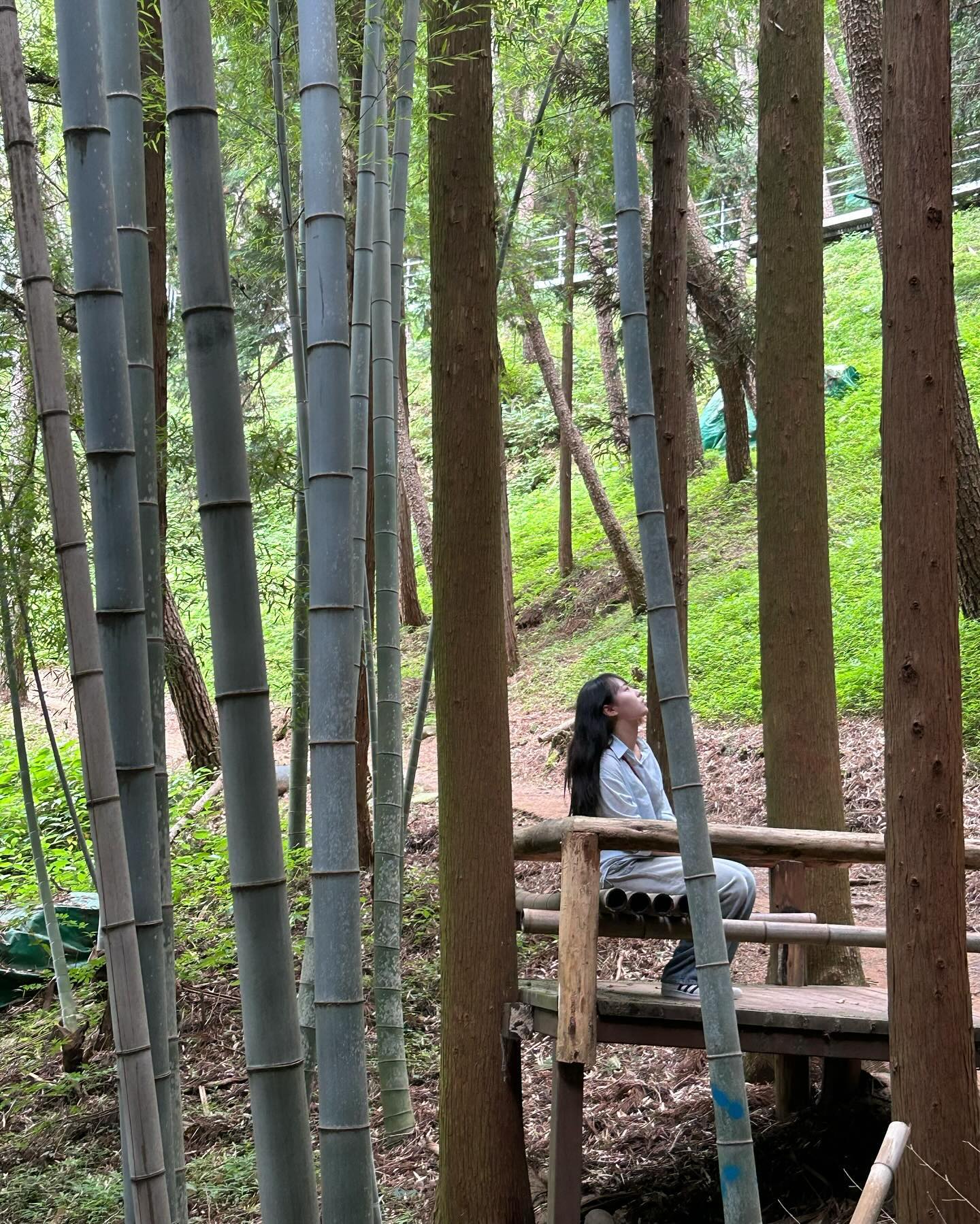 🫧🎍🐼