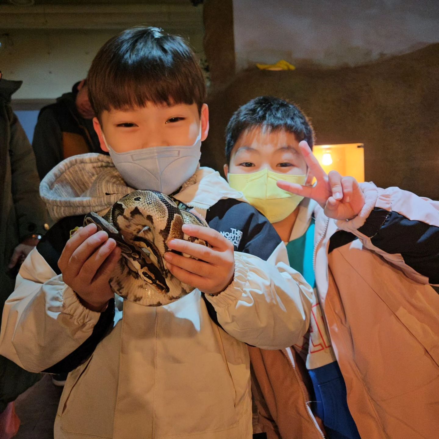 파충류 좋아하시나요^^??

주말에 식사 후 헤이리 들려너 사파리 체험 다녀왔어요^^
먼저 움직이는 4D 타고 설명해주시는분을 따라 40분가량
설명도 듣고^^ 파충류도 만지고^^ 마술쇼와 버블쇼까지
2시간 알차게 놀았어요^^ 아이들 어릴때 다녀왔는데^^
지금 가니 더 재미있게 놀다 왔네요 ㅎㅎ

오늘 눈 소식 있던데^^ 모두 차조심^^ 좋은 하루되세요^^
