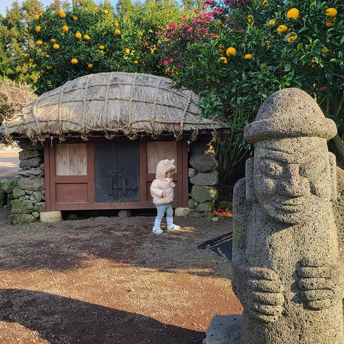 🍊Jeju🍊