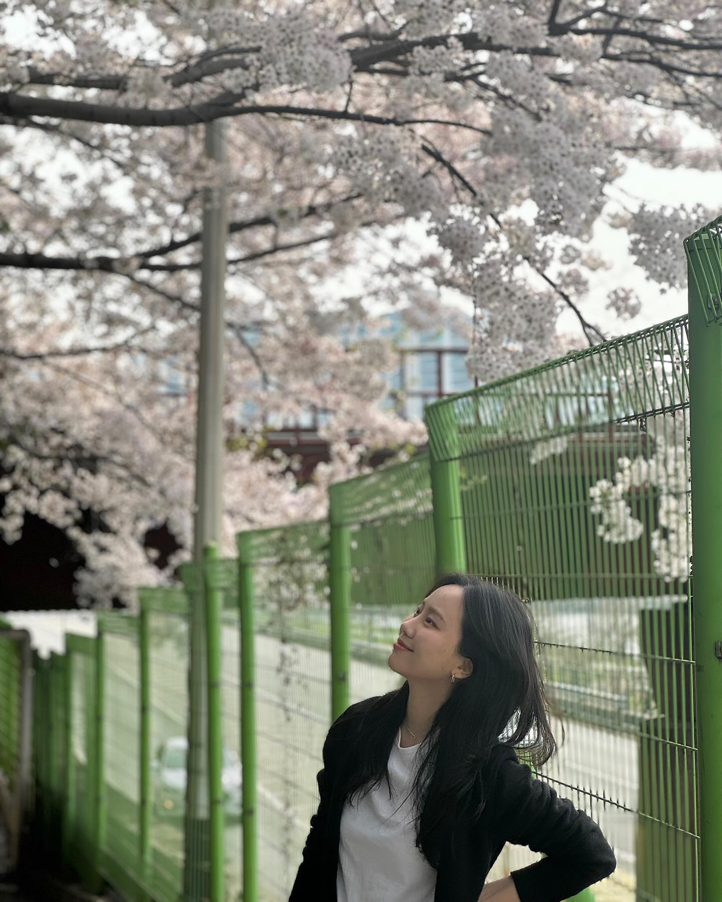 🌸