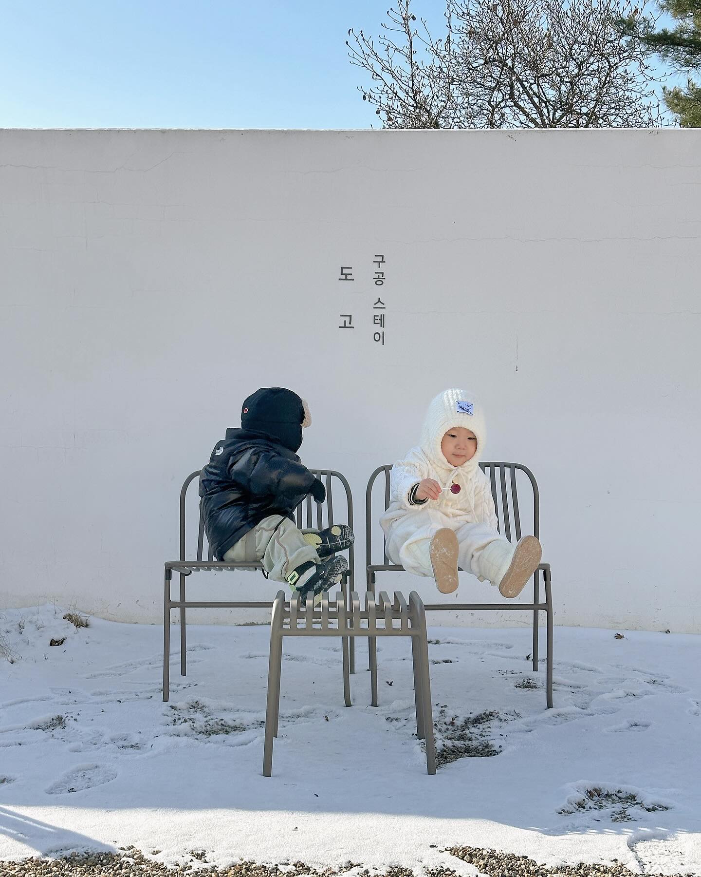 검은 돌 흰 돌