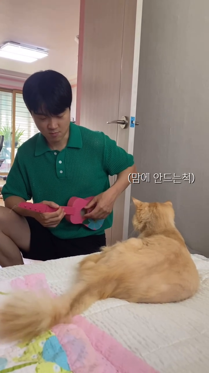 결혼 허락 받기😼🐈