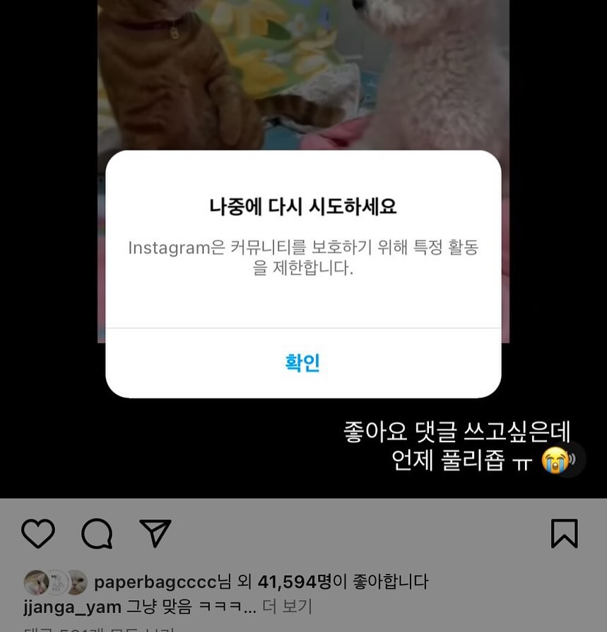 콘텐츠