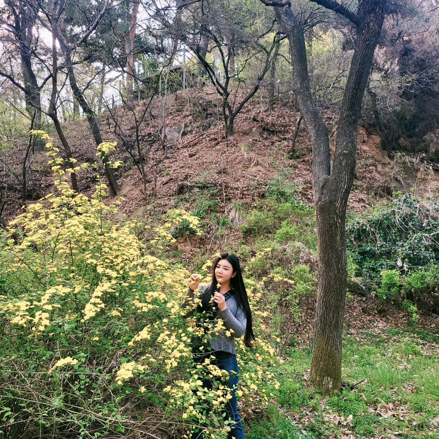 #한강 #피크닉 #피크닉도시락 #당산한강 #따릉이 #한강뷰 #한강라이딩 #벚꽃 #벚꽃명소 #벚꽃구경 #벚꽃만개 #개나리 #개나리꽃 #직장인 #일상 #꽃놀이