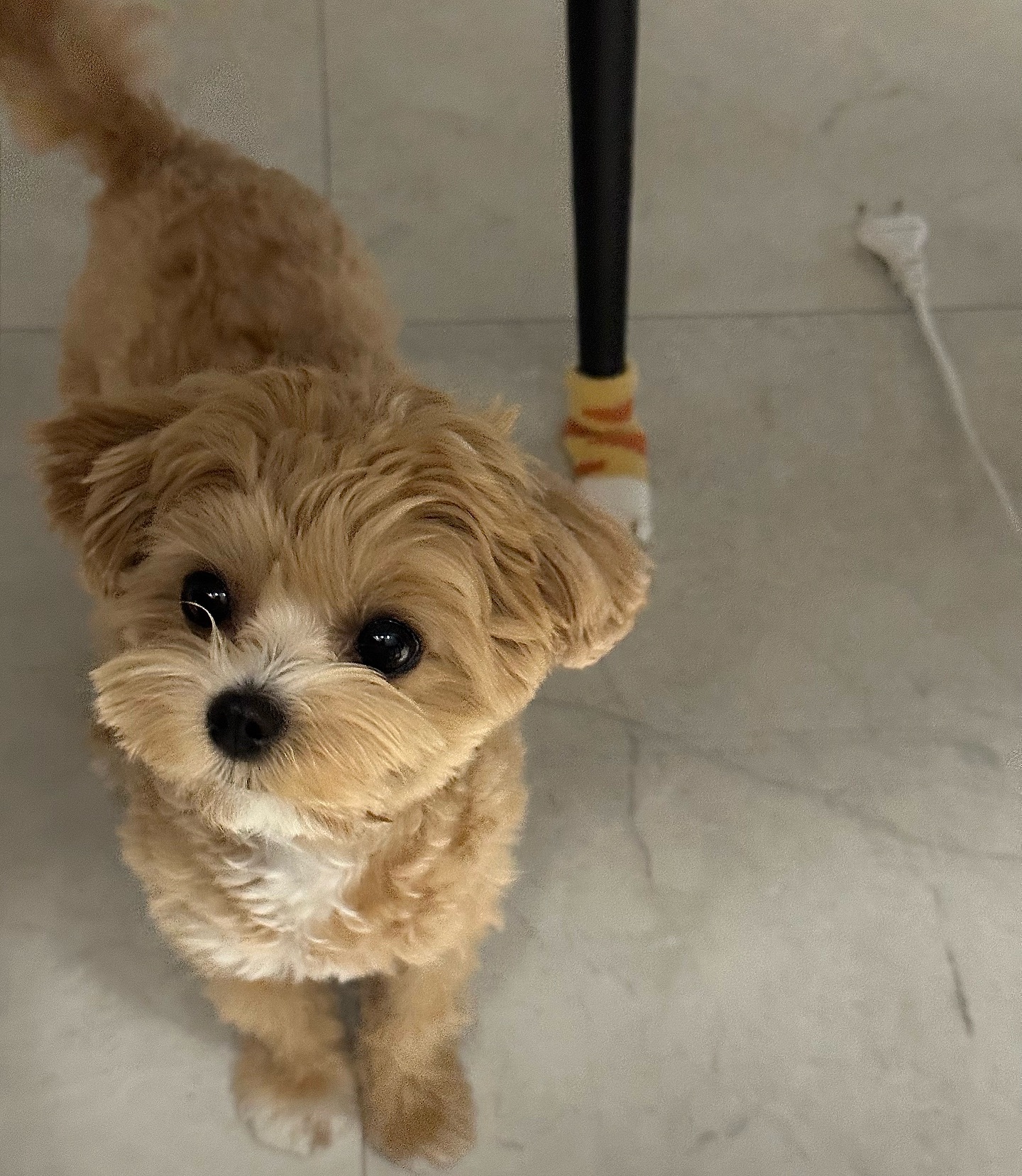 요로케 뚫어져라 쳐다보면 하나 주게찌..?🥺