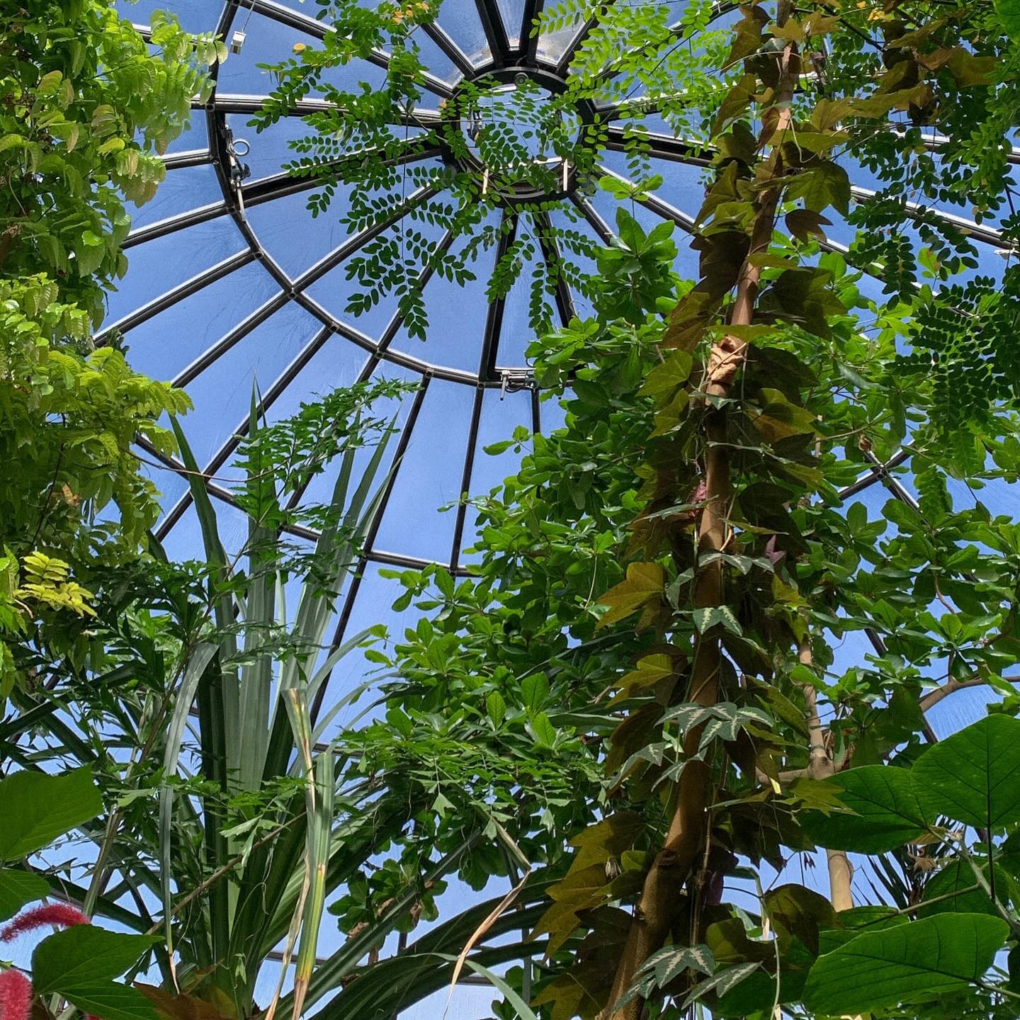 🌿🇨🇭