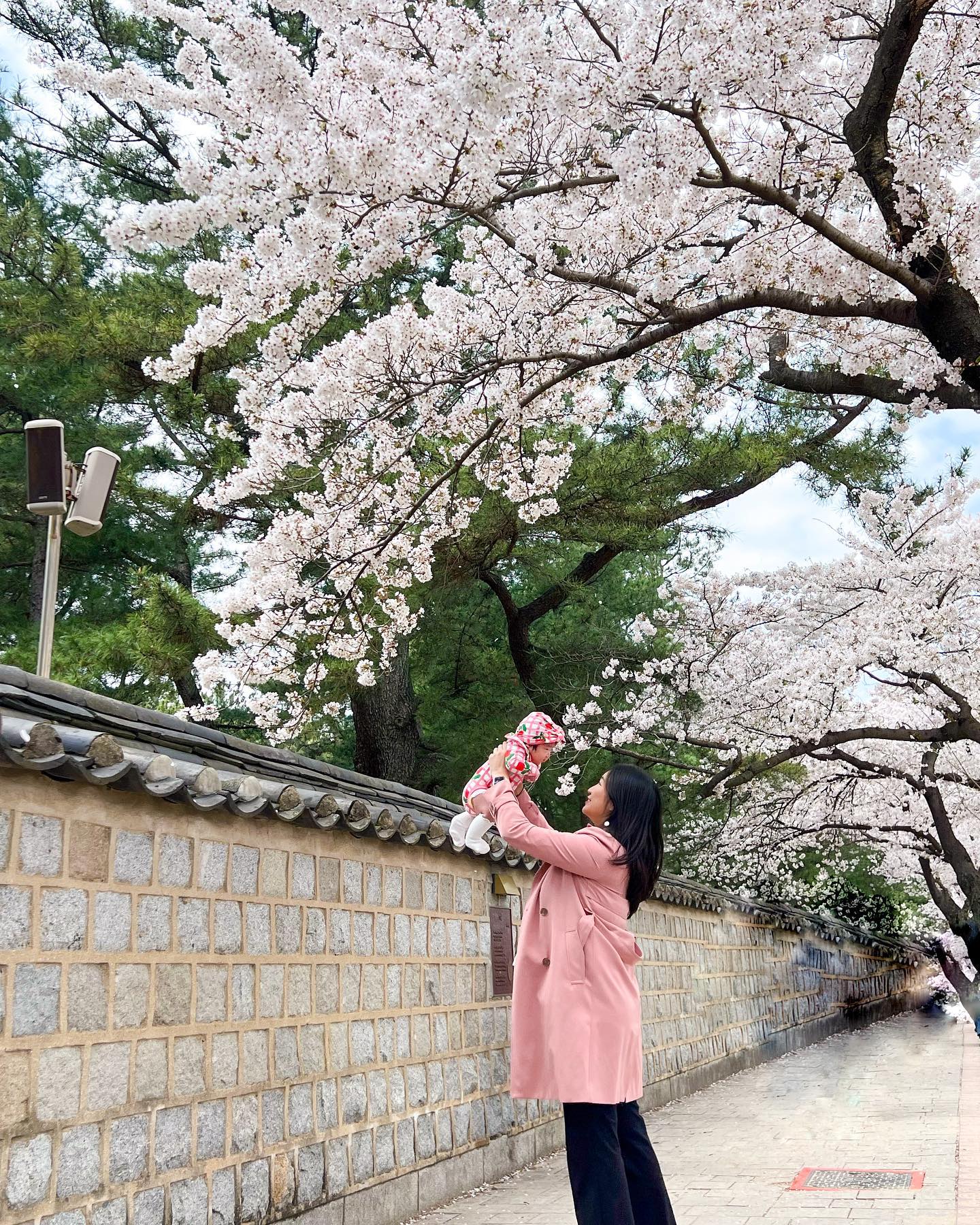 그래서 살 언제빠져..?
윤성이땐 언제 빠졌더라..........?
배...왜 안들어가?
#산후79일 #생후79일 #꽃놀이