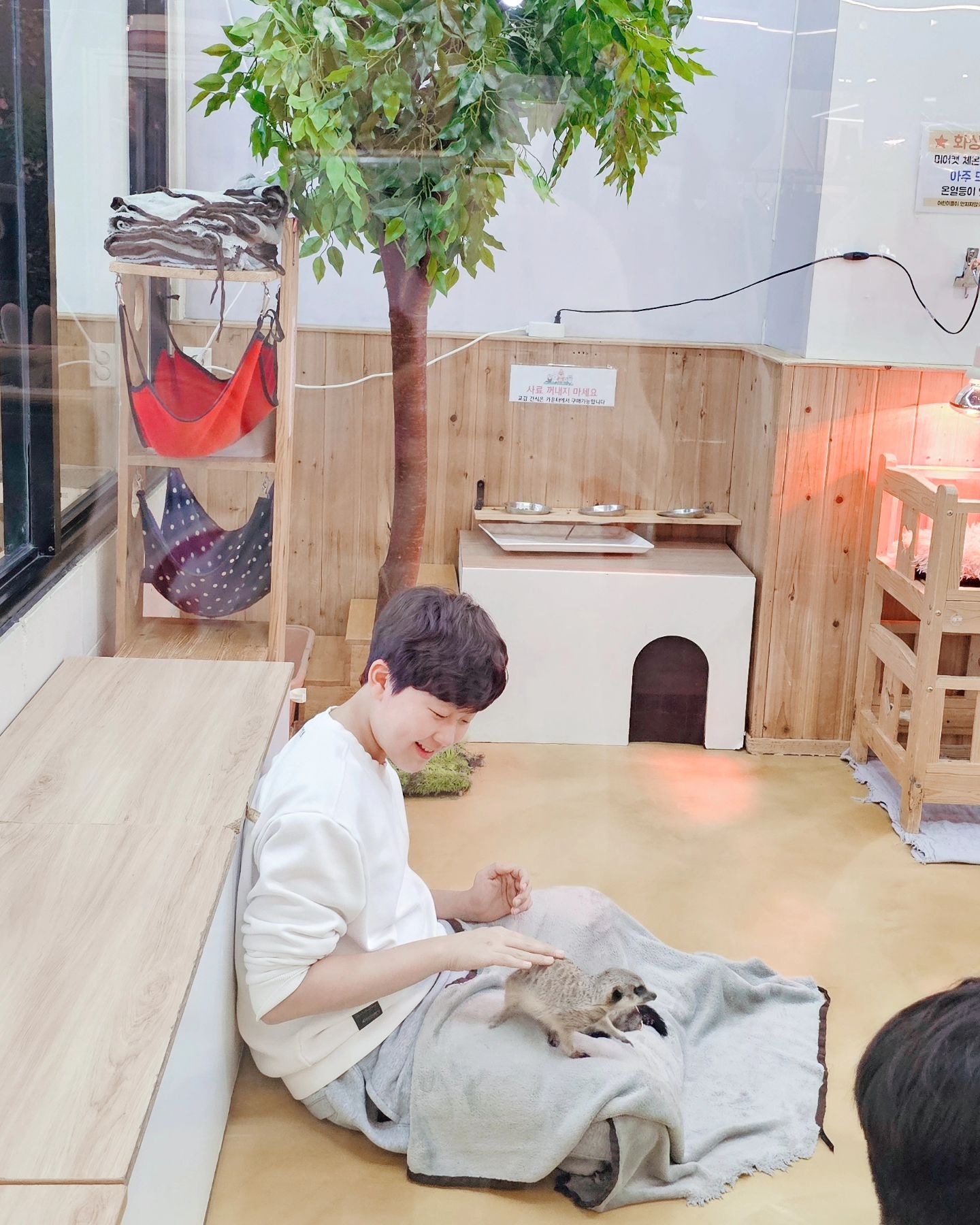 아들들과 마리앤쥬 방문!

애들이 너무 좋아해서 다음을 또 기약~
그나저나 페럿 러블리♡♡♡

#마리앤쥬 #마리앤쥬_송도점 #마리앤쥬동물카페 #실내동물원 #동물카페